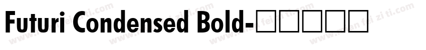 Futuri Condensed Bold字体转换